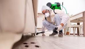 Best Real Estate Pest Inspections  in Dent, OH